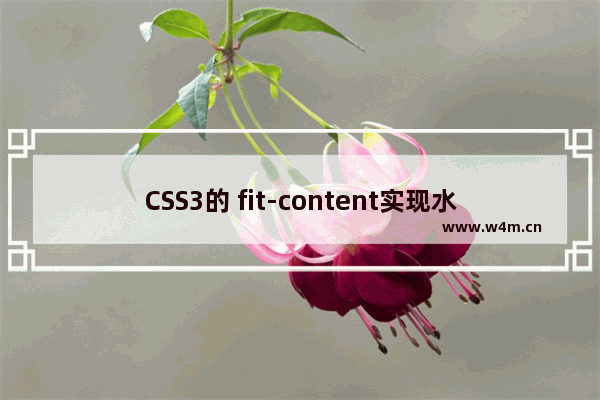 CSS3的 fit-content实现水平居中