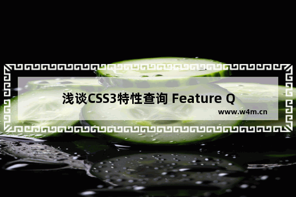 浅谈CSS3特性查询 Feature Query: @supports功能简介