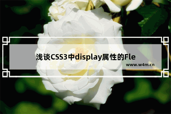 浅谈CSS3中display属性的Flex布局的方法