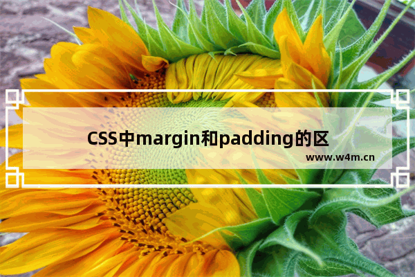 CSS中margin和padding的区别浅析