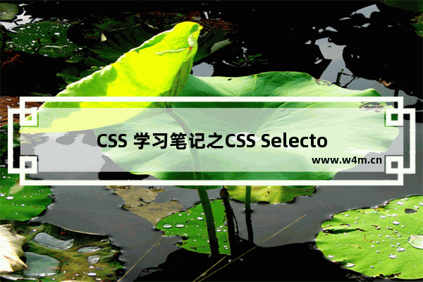 CSS 学习笔记之CSS Selector