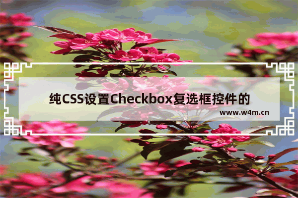 纯CSS设置Checkbox复选框控件的样式(五种方法)