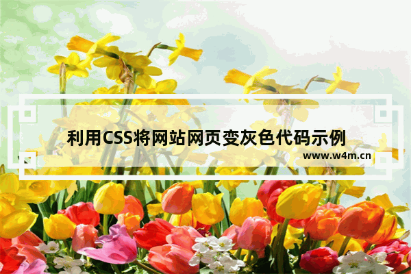 利用CSS将网站网页变灰色代码示例