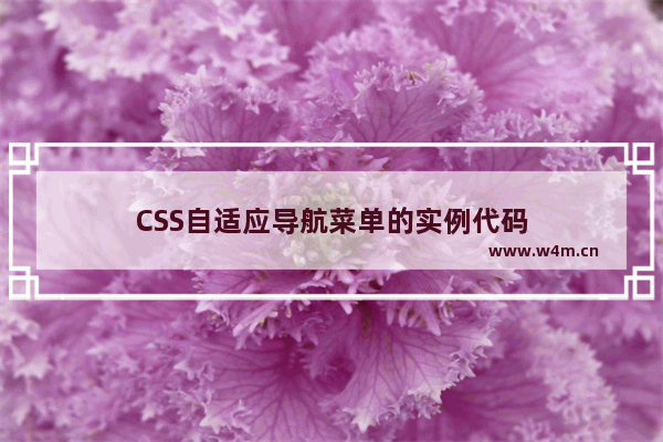 CSS自适应导航菜单的实例代码