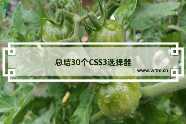 总结30个CSS3选择器