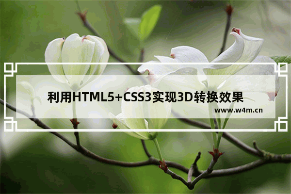 利用HTML5+CSS3实现3D转换效果实例详解