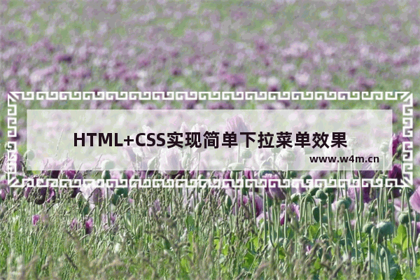 HTML+CSS实现简单下拉菜单效果