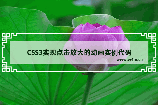 CSS3实现点击放大的动画实例代码