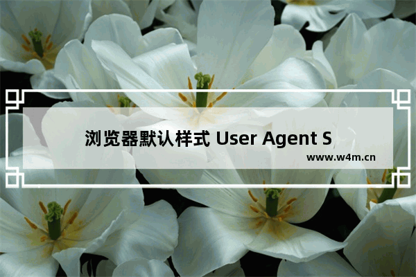 浏览器默认样式 User Agent Stylesheet的介绍与最佳处理方法