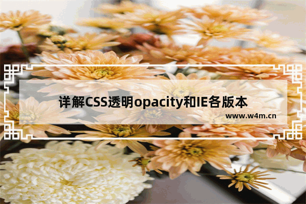 详解CSS透明opacity和IE各版本透明度滤镜filter的最准确用法