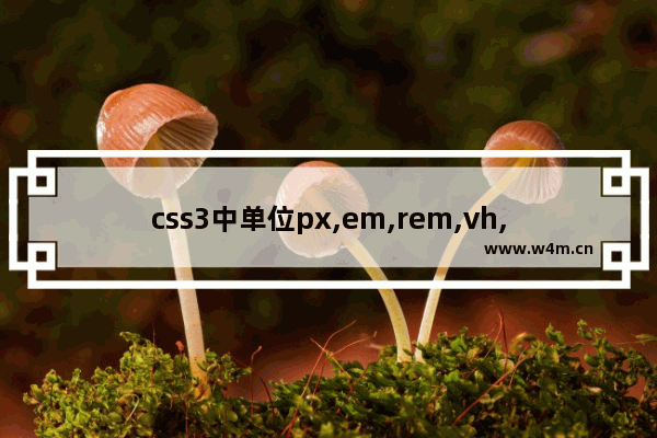 css3中单位px,em,rem,vh,vw,vmin,vmax的区别及浏览器支持情况