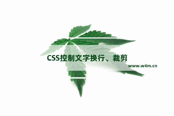 CSS控制文字换行、裁剪