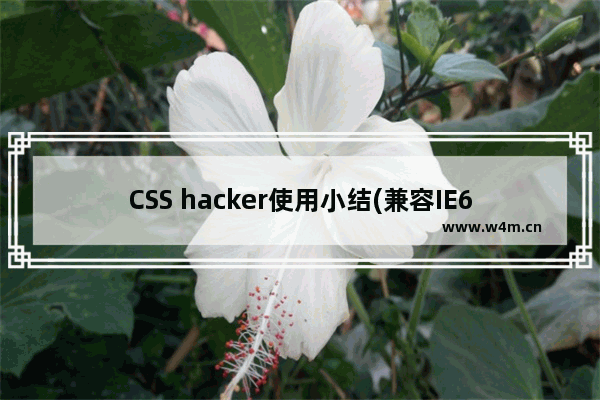 CSS hacker使用小结(兼容IE6、7、8)