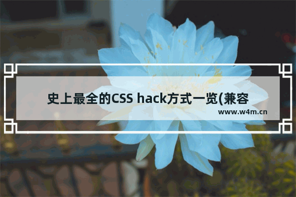 史上最全的CSS hack方式一览(兼容多浏览器)