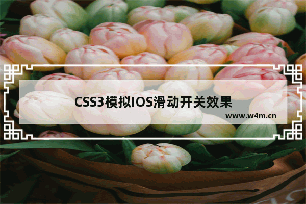 CSS3模拟IOS滑动开关效果