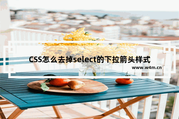 CSS怎么去掉select的下拉箭头样式