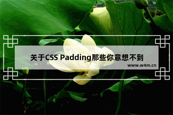 关于CSS Padding那些你意想不到的用法示例