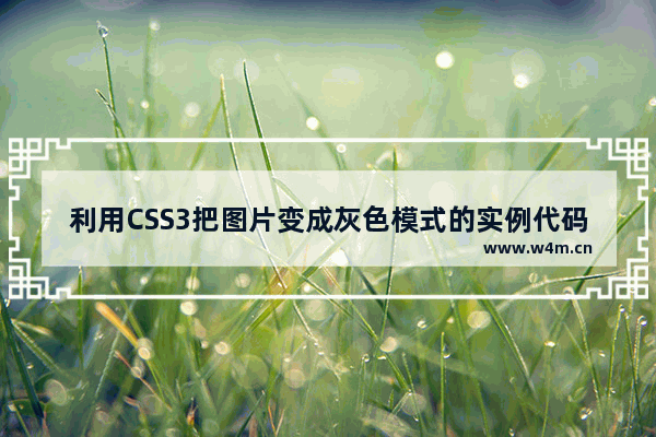 利用CSS3把图片变成灰色模式的实例代码