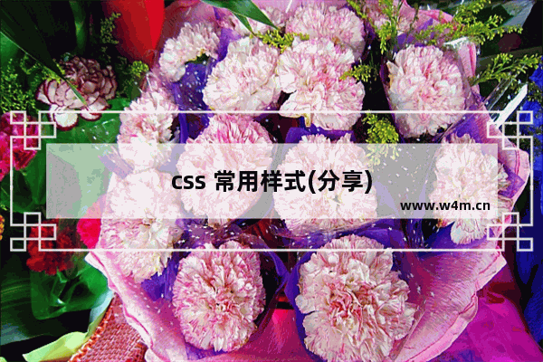 css 常用样式(分享)