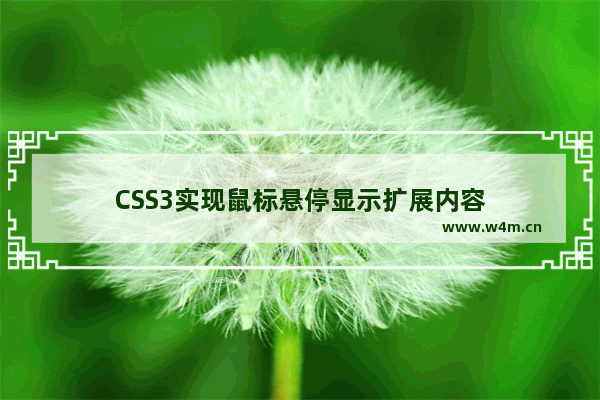 CSS3实现鼠标悬停显示扩展内容