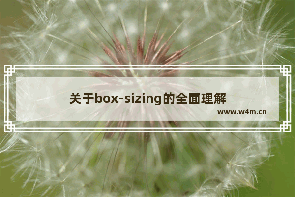 关于box-sizing的全面理解