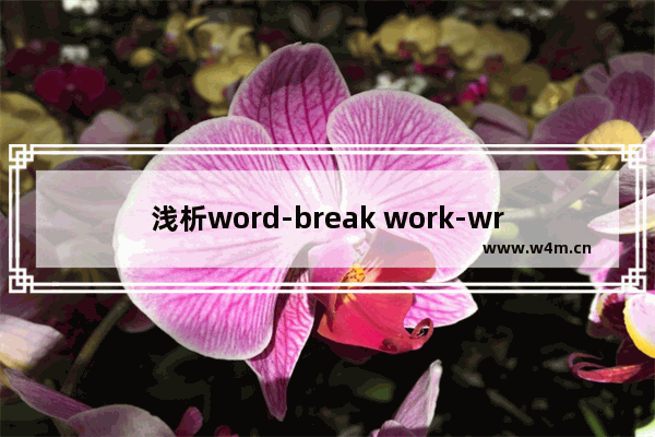 浅析word-break work-wrap的区别