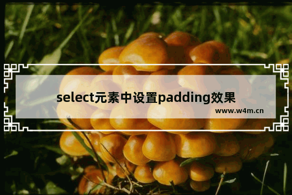 select元素中设置padding效果的方法