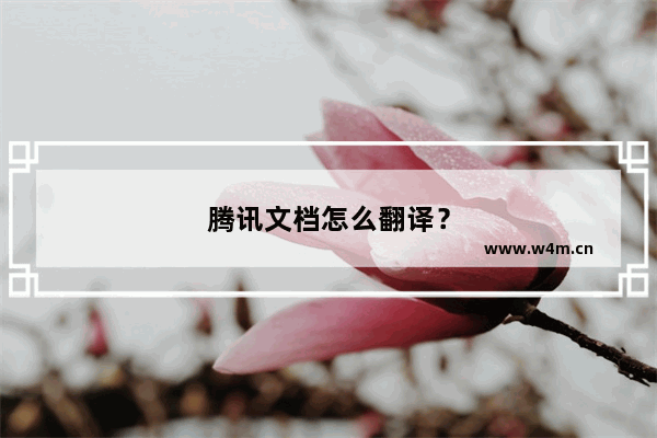 腾讯文档怎么翻译？