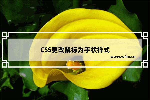 CSS更改鼠标为手状样式