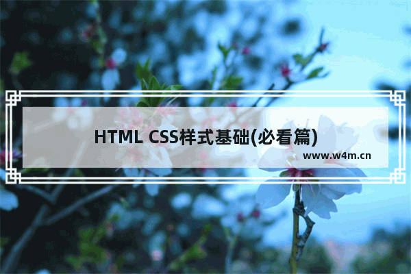 HTML CSS样式基础(必看篇)