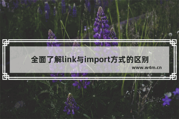 全面了解link与import方式的区别