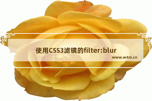 使用CSS3滤镜的filter:blur属性制作毛玻璃模糊效果的方法