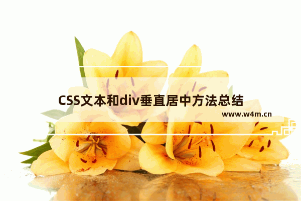 CSS文本和div垂直居中方法总结