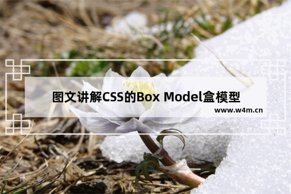 图文讲解CSS的Box Model盒模型中的边距