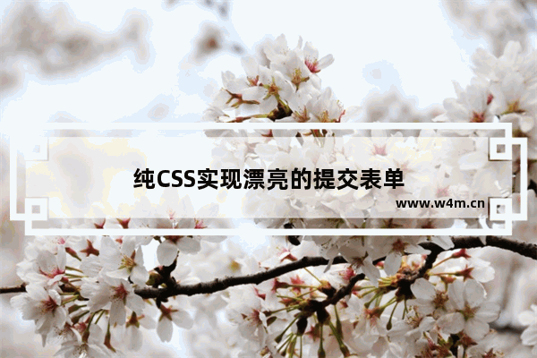 纯CSS实现漂亮的提交表单