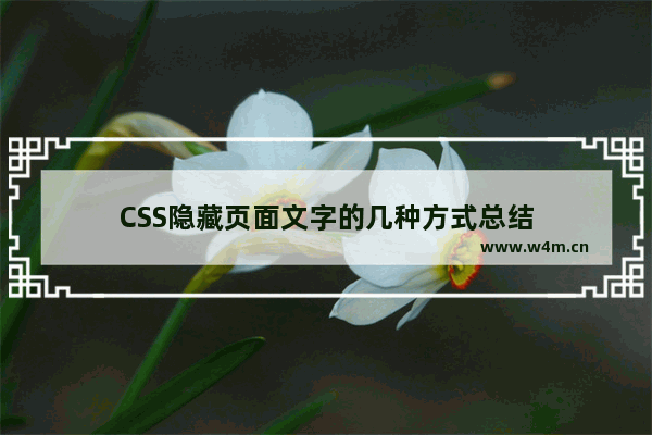 CSS隐藏页面文字的几种方式总结