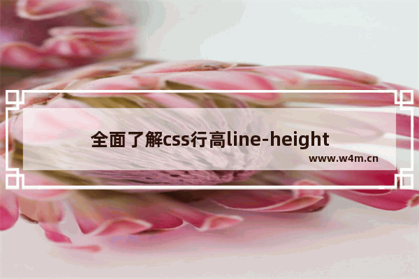 全面了解css行高line-height的用法