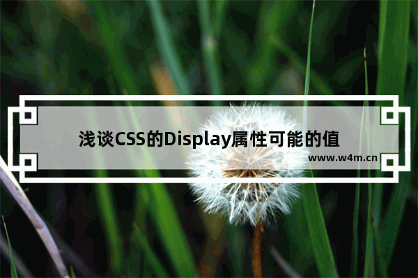 浅谈CSS的Display属性可能的值