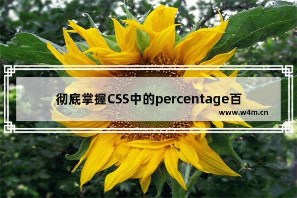 彻底掌握CSS中的percentage百分比值使用