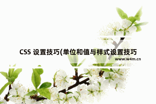 CSS 设置技巧(单位和值与样式设置技巧)