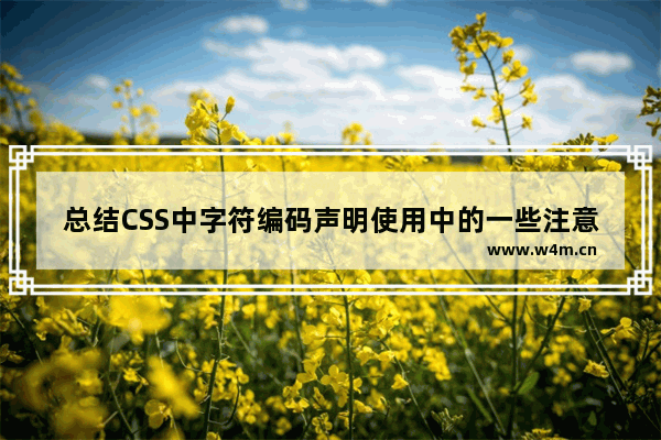 总结CSS中字符编码声明使用中的一些注意点