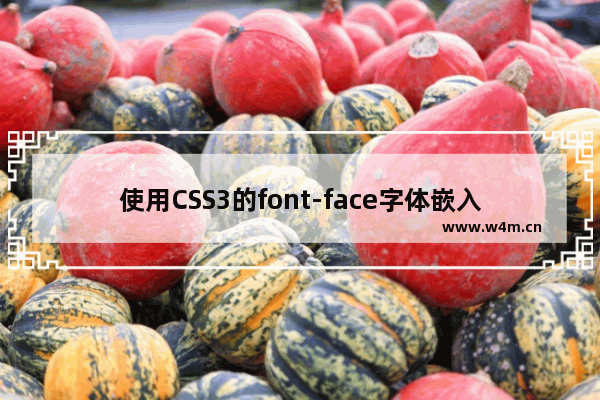 使用CSS3的font-face字体嵌入样式的方法讲解