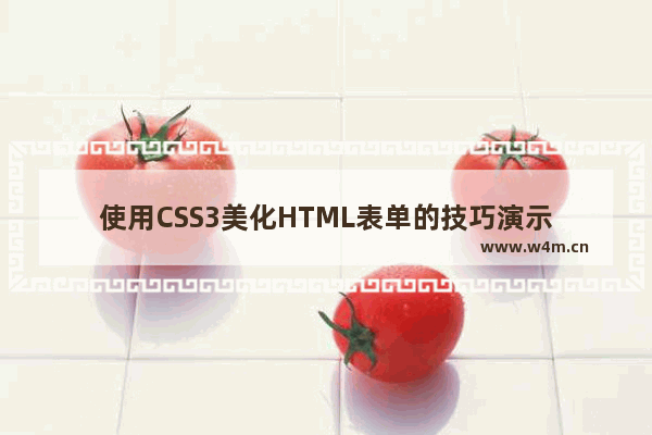 使用CSS3美化HTML表单的技巧演示