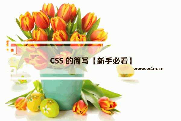 CSS 的简写【新手必看】