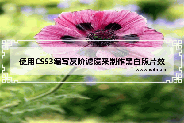 使用CSS3编写灰阶滤镜来制作黑白照片效果的方法