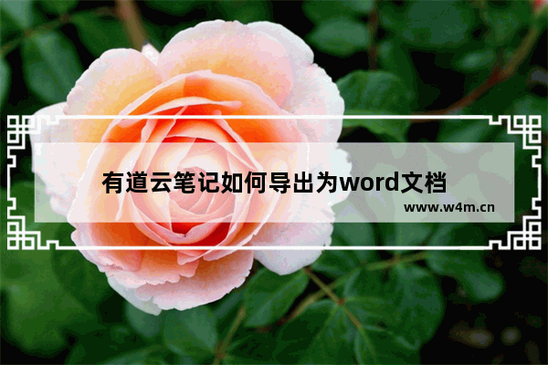 有道云笔记如何导出为word文档