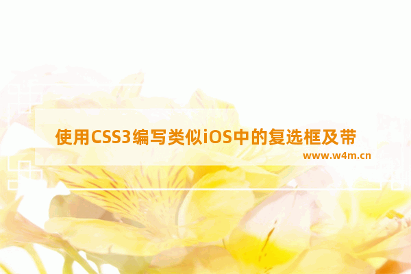 使用CSS3编写类似iOS中的复选框及带开关的按钮