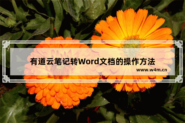 有道云笔记转Word文档的操作方法