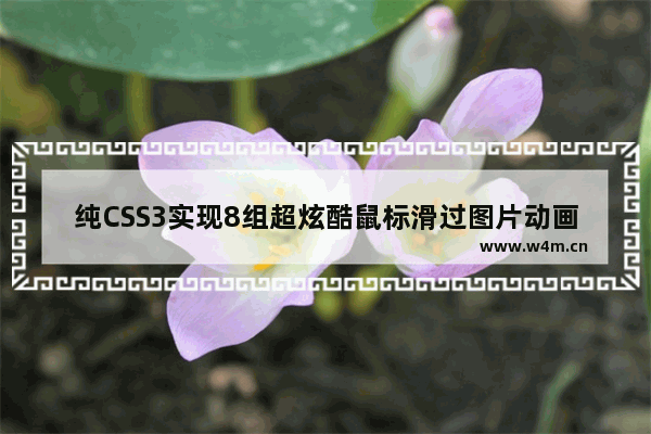 纯CSS3实现8组超炫酷鼠标滑过图片动画