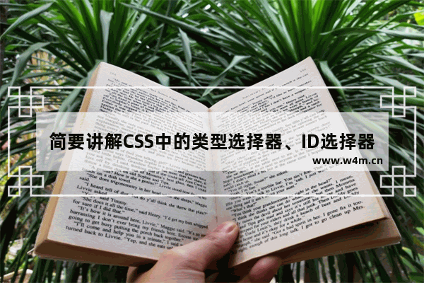 简要讲解CSS中的类型选择器、ID选择器、类选择器